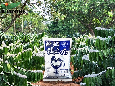 ky-thuat-bon-phan-huu-co-cho-ca-phe-400x300
