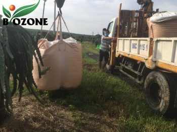 phan-huu-co-tui-jumbo-cho-cay-thanh-long-Biozone2