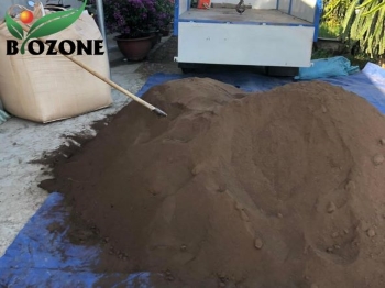 phan-huu-co-tui-jumbo-cho-cay-thanh-long-Biozone