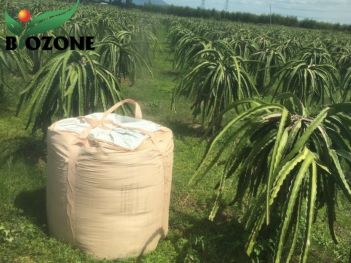 phan-huu-co-tui-jumbo-cho-cay-thanh-long-Biozone