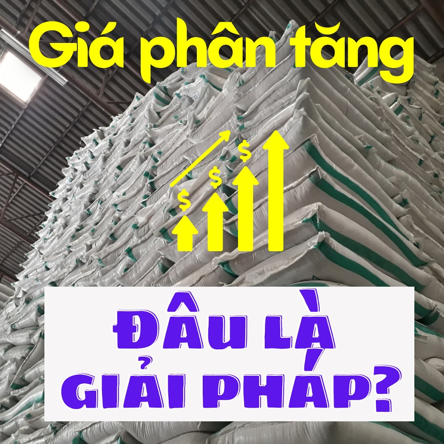 Nổi lo giá phân bón tăng vọt, đâu là giải pháp?