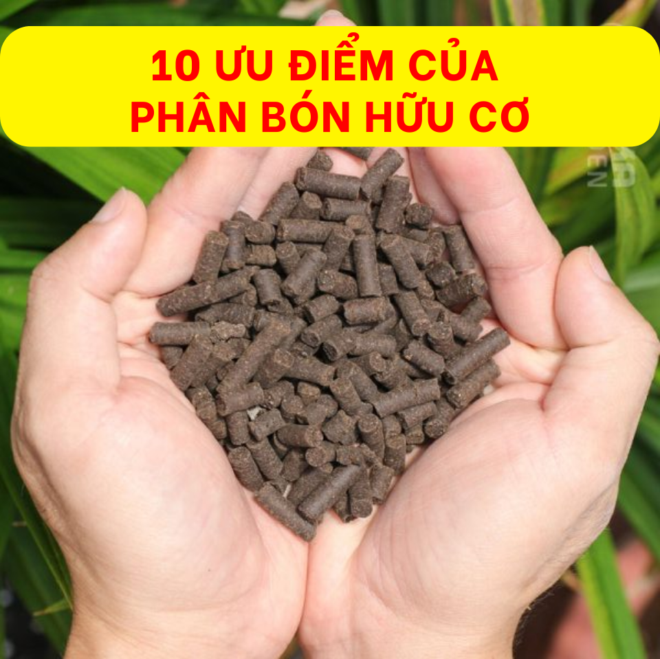 10 Ưu điểm của phân hữu cơ viên nén
