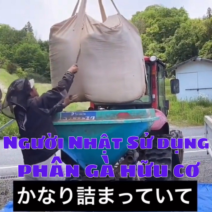Người Nhật sử dụng Phân gà hữu cơ cho nông trại