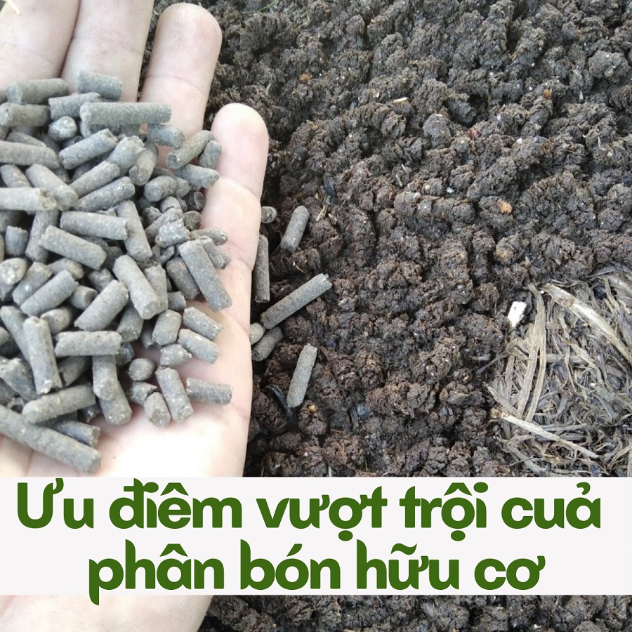 Ưu điểm vượt trội của phân gà hữu cơ Nhật Bản