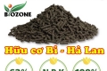 Phân hữu cơ phục hồi Sầu Riêng sau thu hoạch