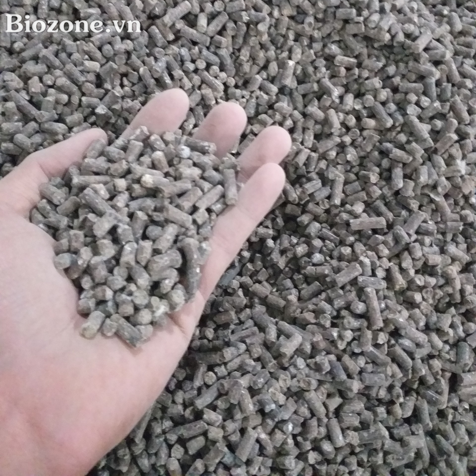Thành phân hữu cơ phân gà nở dạng viên nén nhập khẩu