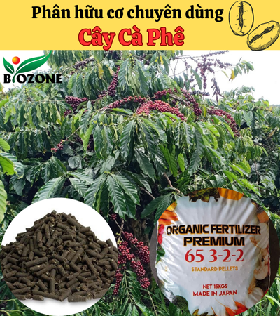 Phân bón hữu cơ cho cây Cà phê
