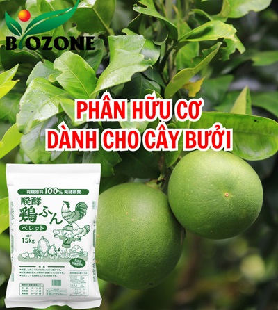 Phân Hữu Cơ Chuyên Dùng Cho Bưởi