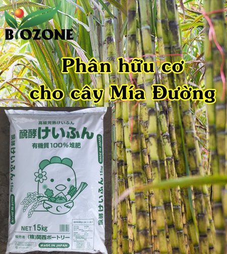 Phân hữu cơ chuyên dùng Mía Đường