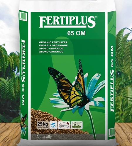 Phân hữu cơ viên nở Bướm Xanh Hà Lan