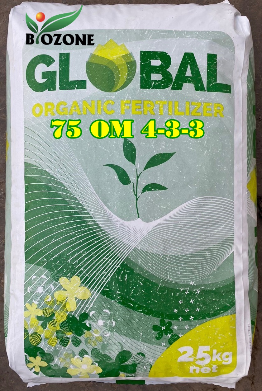 Phân viên nở Bỉ 75OM 4-3-3