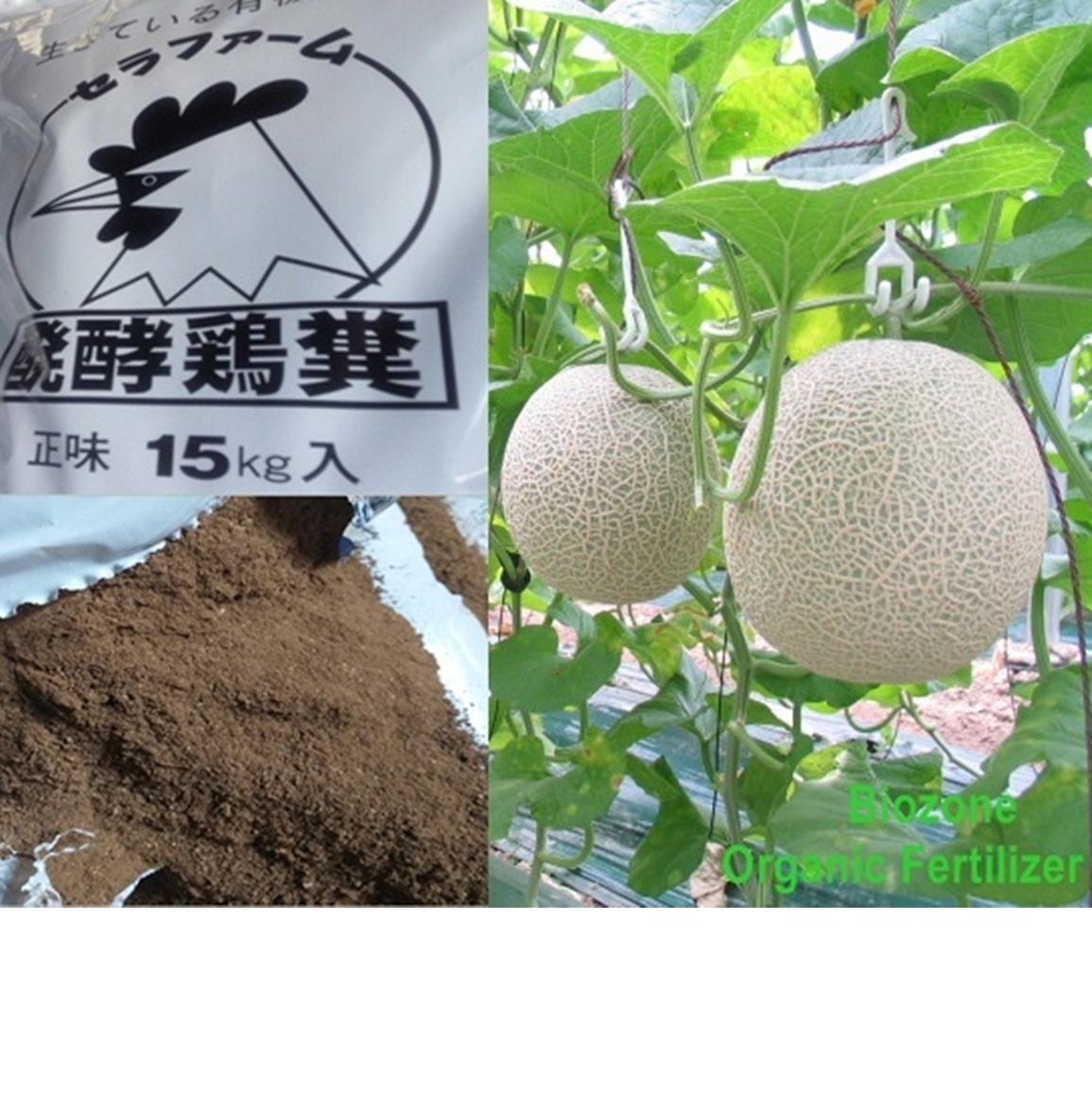 Phân gà hữu cơ dạng bột dùng cho dưa lưới